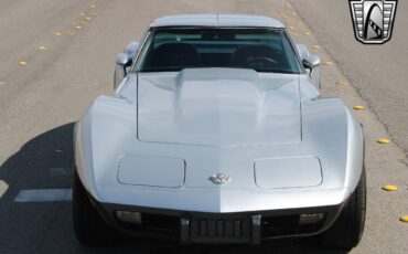 Chevrolet-Corvette-1978-Silver-Orange-117204-3