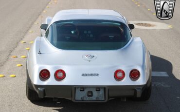 Chevrolet-Corvette-1978-Silver-Orange-117204-7