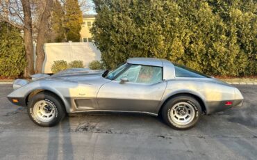 Chevrolet-Corvette-1978-silver-24301-1