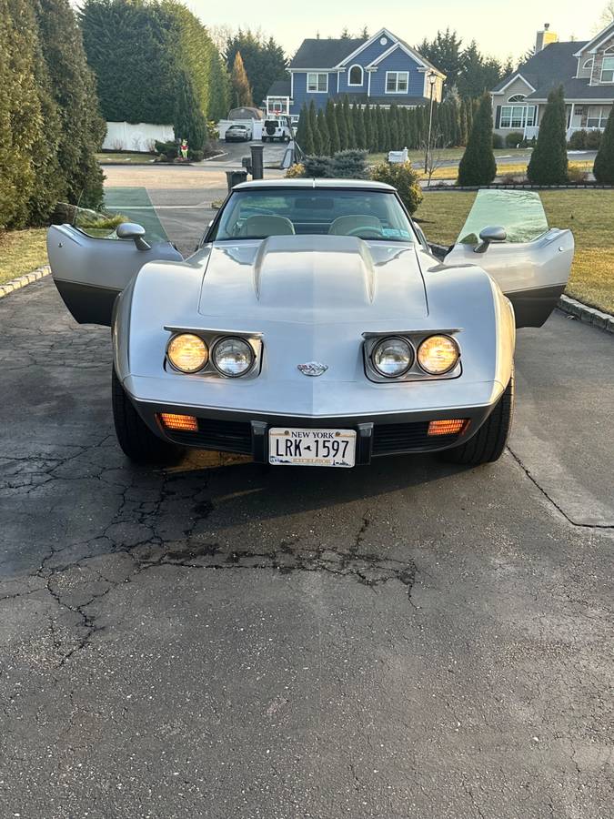 Chevrolet-Corvette-1978-silver-24301-2