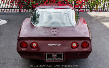 Chevrolet-Corvette-1979-Burgundy-Other-Color-0-10