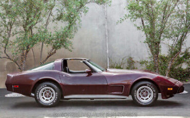 Chevrolet-Corvette-1979-Burgundy-Other-Color-0-3