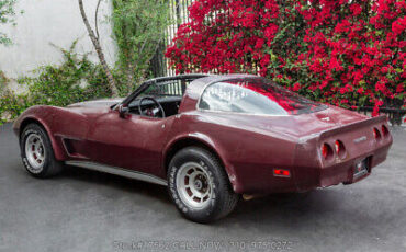 Chevrolet-Corvette-1979-Burgundy-Other-Color-0-6