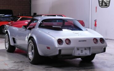 Chevrolet-Corvette-1979-Gray-Red-58051-3