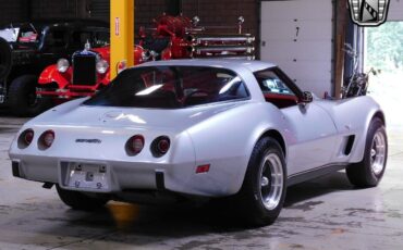 Chevrolet-Corvette-1979-Gray-Red-58051-4