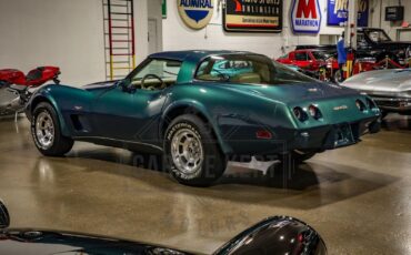 Chevrolet-Corvette-1979-Green-Tan-189156-10