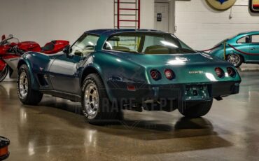 Chevrolet-Corvette-1979-Green-Tan-189156-11