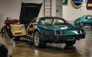 Chevrolet-Corvette-1979-Green-Tan-189156-2