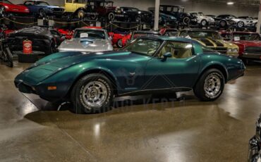 Chevrolet-Corvette-1979-Green-Tan-189156-8