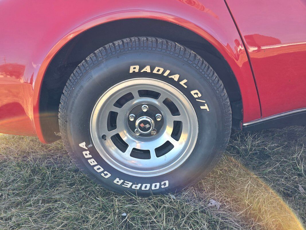 Chevrolet-Corvette-1979-Red-Red-133416-34