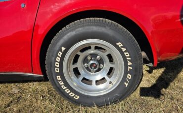 Chevrolet-Corvette-1979-Red-Red-133416-35