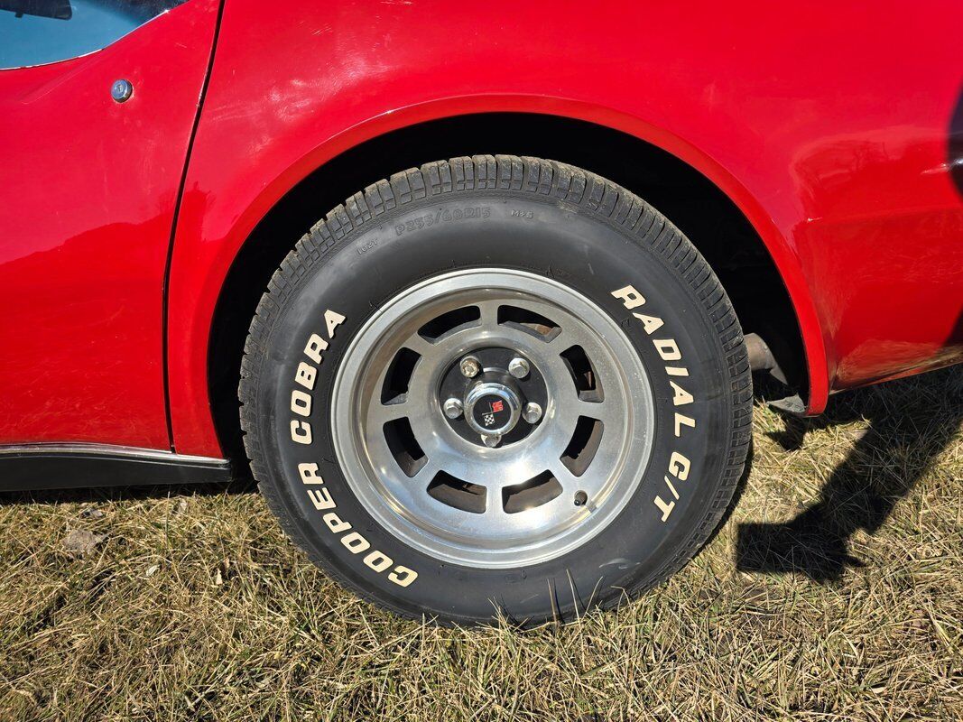 Chevrolet-Corvette-1979-Red-Red-133416-35