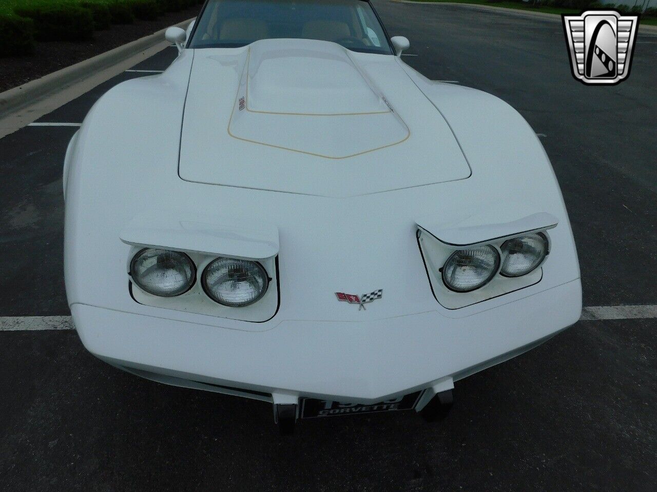 Chevrolet-Corvette-1979-White-Tan-17006-10