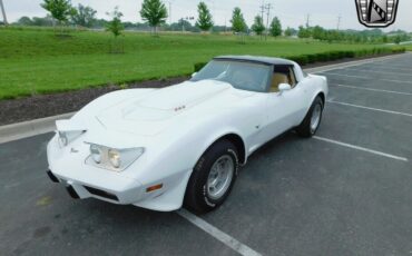 Chevrolet-Corvette-1979-White-Tan-17006-2