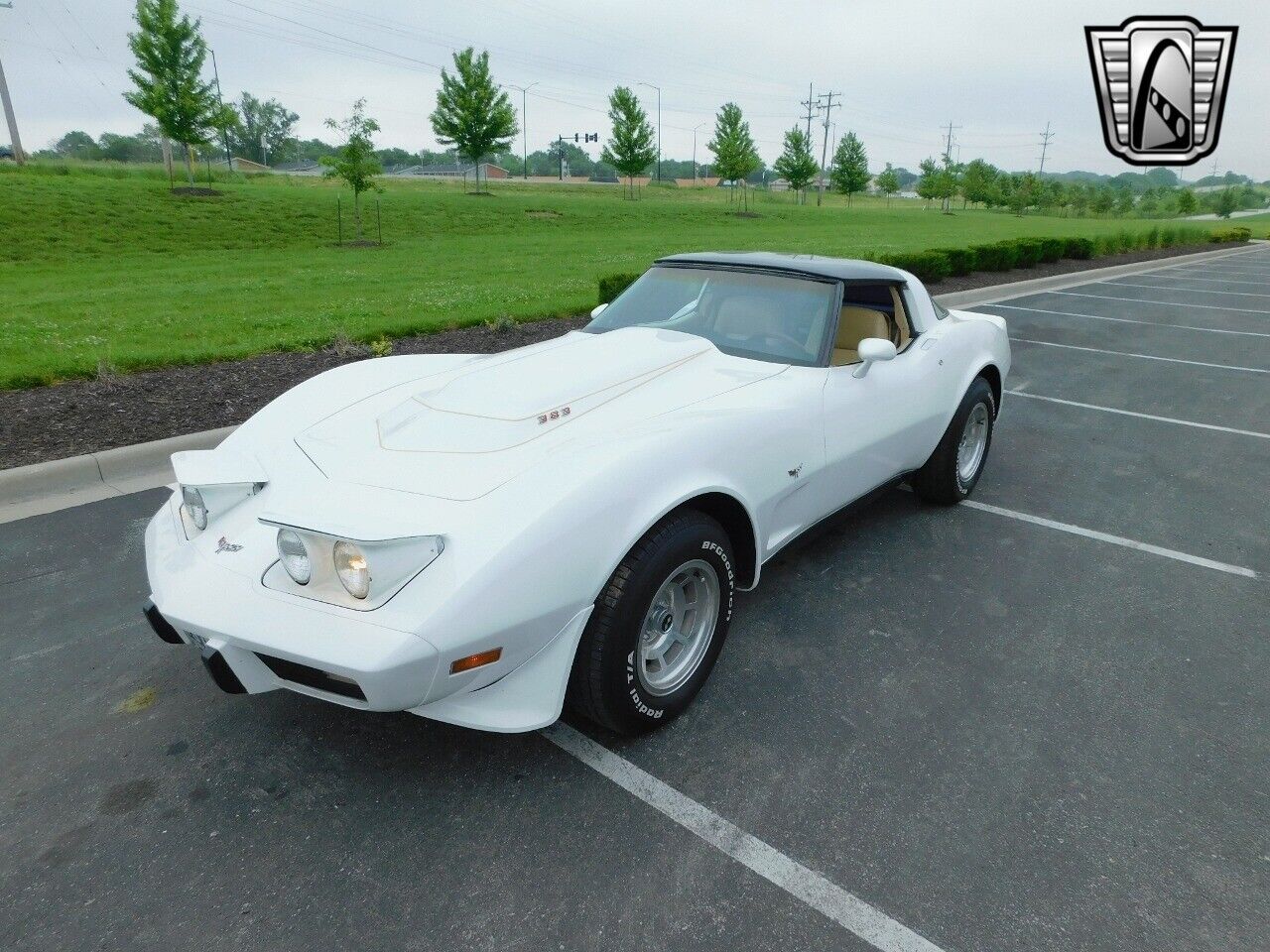 Chevrolet-Corvette-1979-White-Tan-17006-2