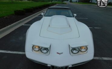 Chevrolet-Corvette-1979-White-Tan-17006-3