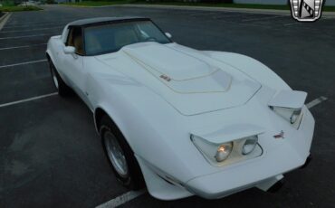 Chevrolet-Corvette-1979-White-Tan-17006-4