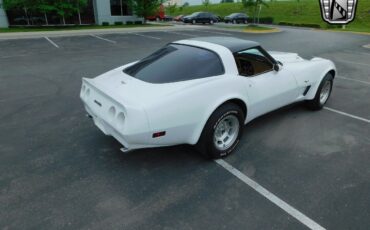 Chevrolet-Corvette-1979-White-Tan-17006-6