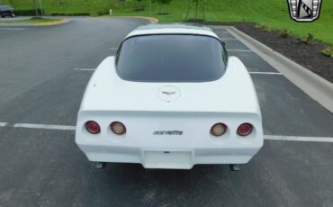 Chevrolet-Corvette-1979-White-Tan-17006-7