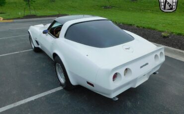 Chevrolet-Corvette-1979-White-Tan-17006-8