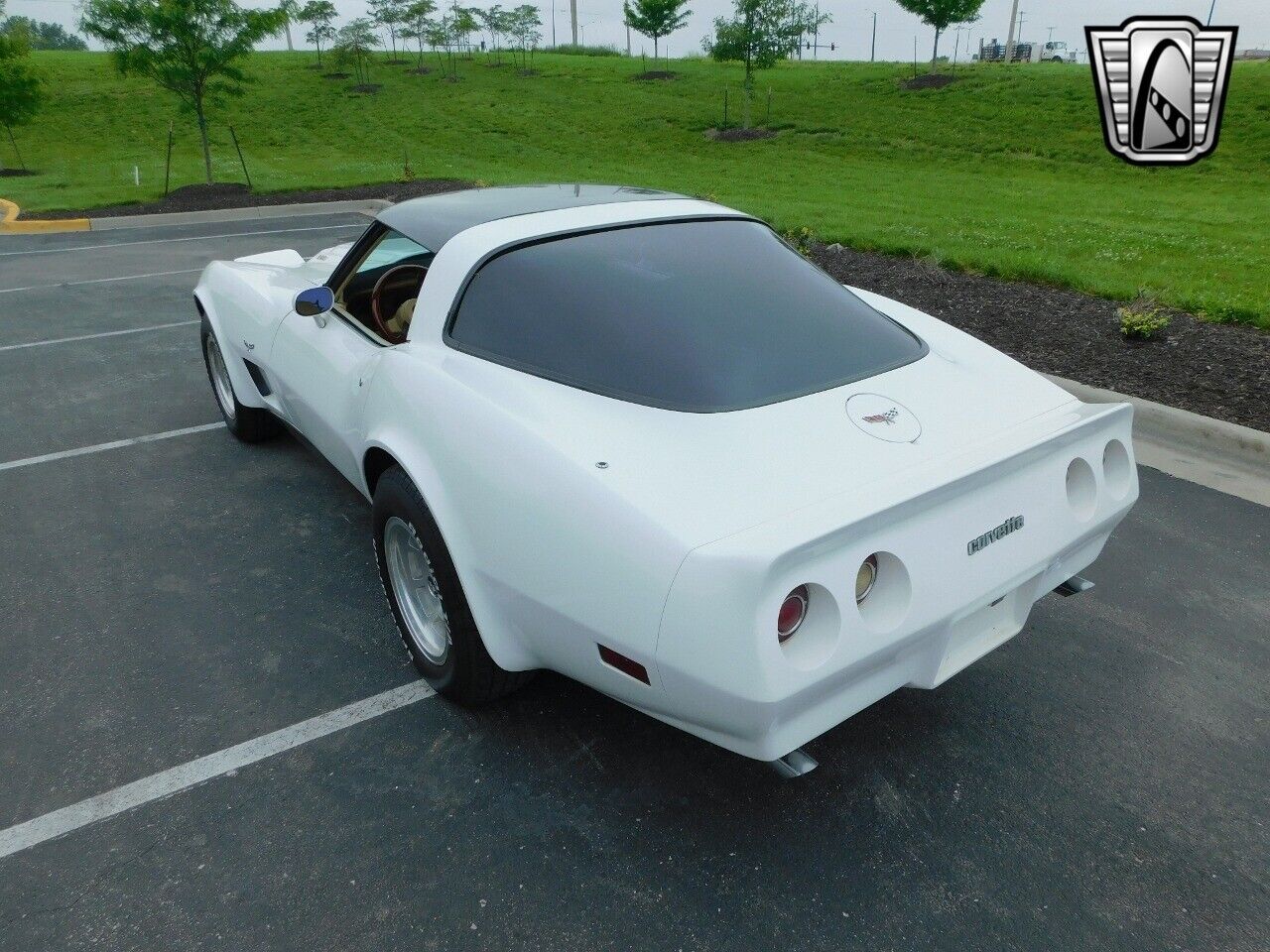 Chevrolet-Corvette-1979-White-Tan-17006-8