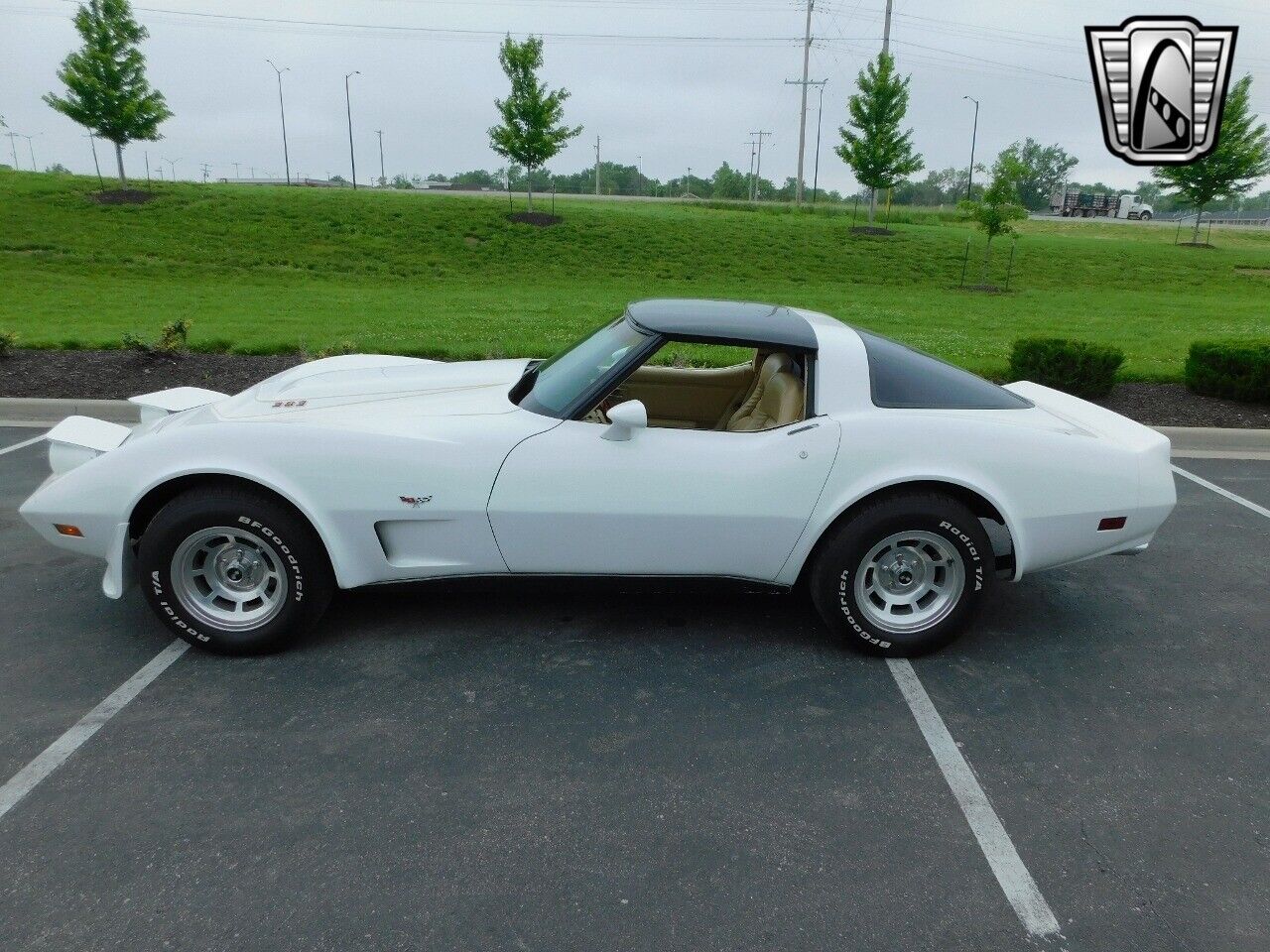 Chevrolet-Corvette-1979-White-Tan-17006-9