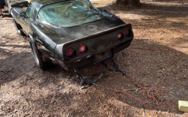 Chevrolet-Corvette-1979-black-112654-4