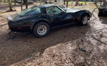 Chevrolet-Corvette-1979-black-112654-6