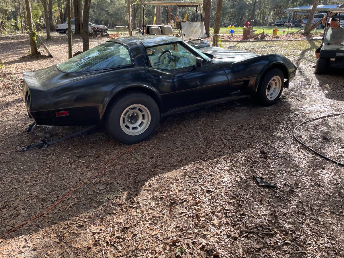 Chevrolet-Corvette-1979-black-112654-6