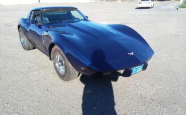 Chevrolet-Corvette-1979-blue-109937-1