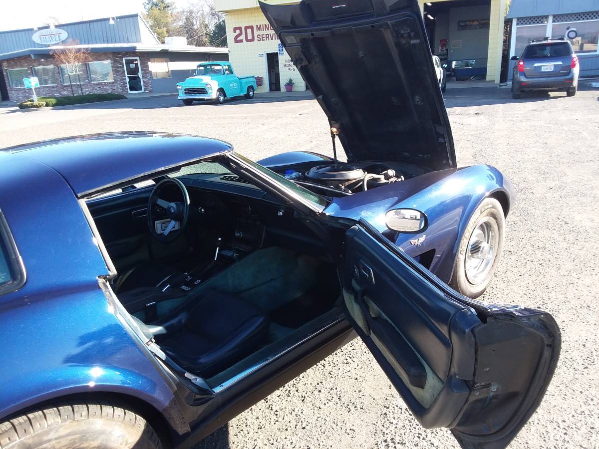 Chevrolet-Corvette-1979-blue-109937-10