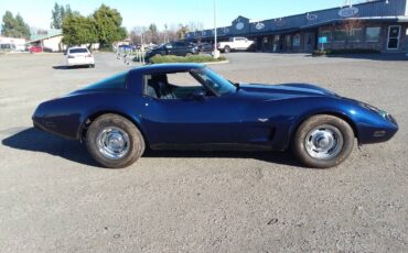 Chevrolet-Corvette-1979-blue-109937-3