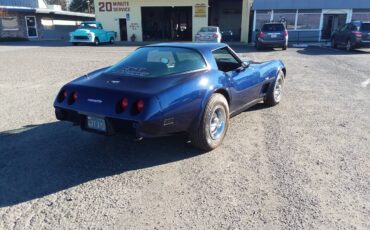 Chevrolet-Corvette-1979-blue-109937-4