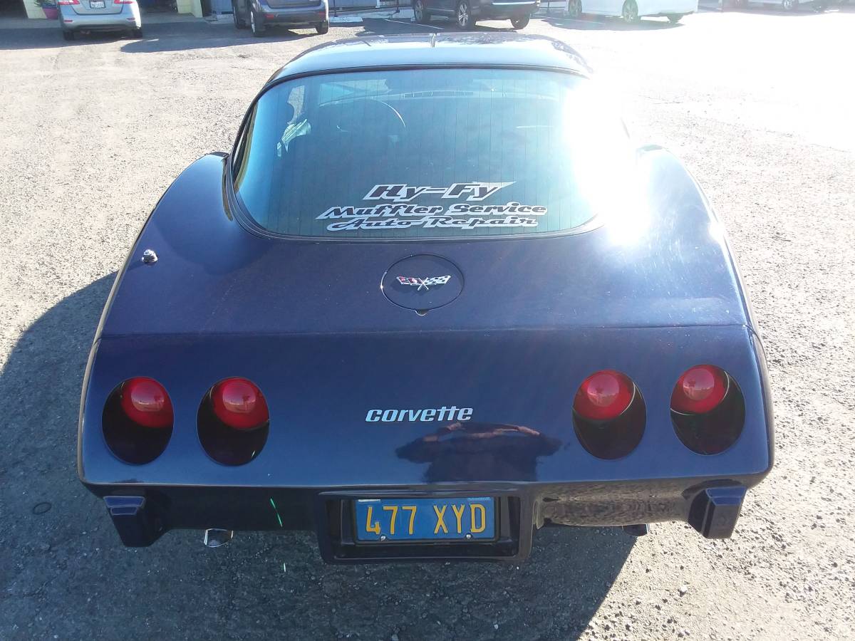 Chevrolet-Corvette-1979-blue-109937-5