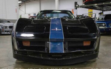 Chevrolet-Corvette-1980-Black-Black-16505-11