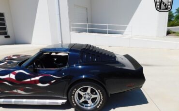 Chevrolet-Corvette-1980-Blue-Blue-157482-8