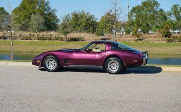 Chevrolet-Corvette-1980-Burgundy-Tan-3835-1