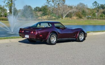 Chevrolet-Corvette-1980-Burgundy-Tan-3835-5