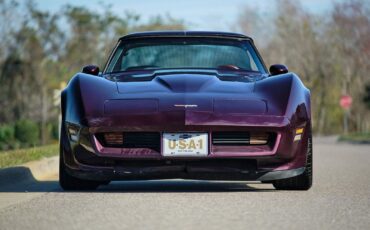 Chevrolet-Corvette-1980-Burgundy-Tan-3835-9