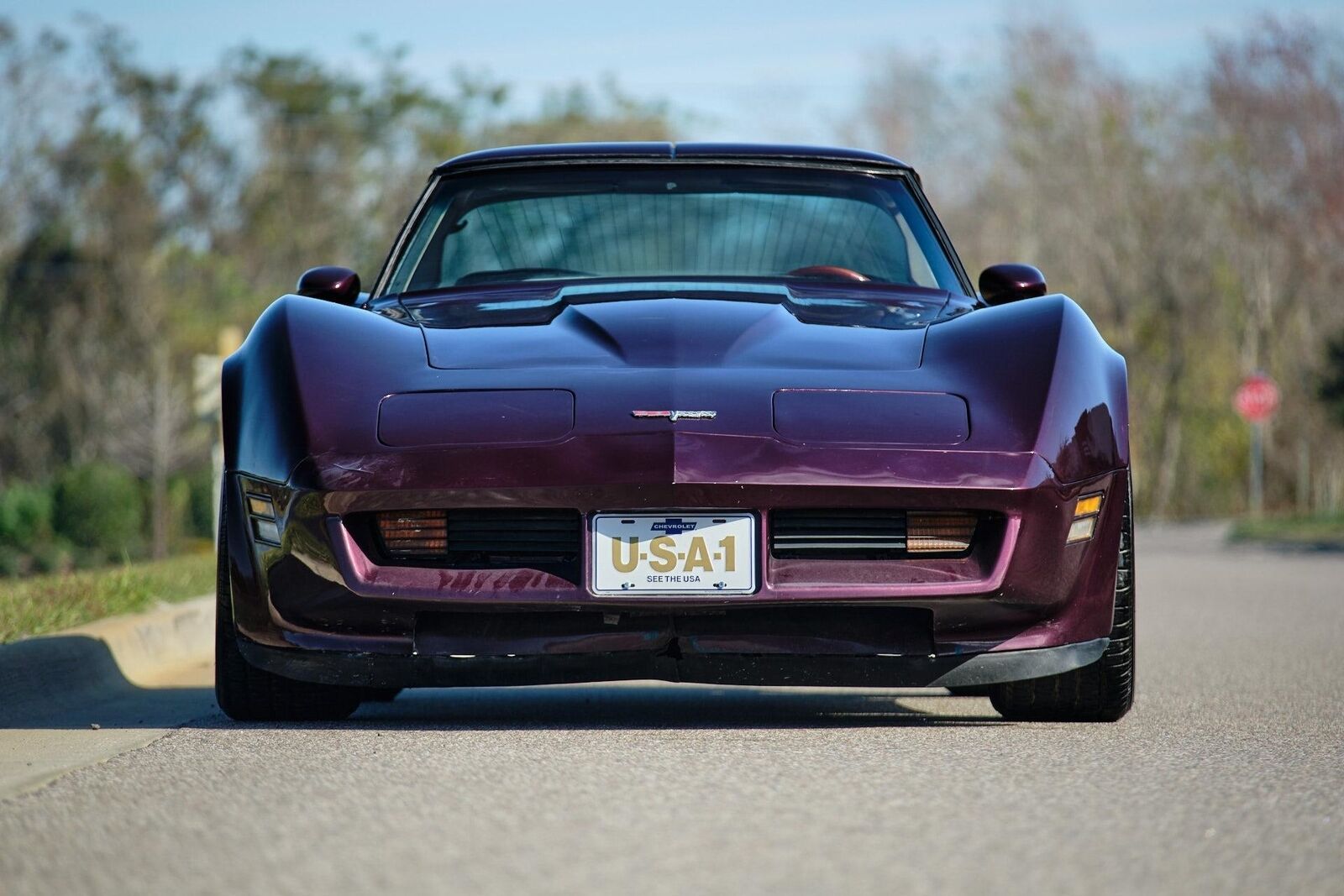 Chevrolet-Corvette-1980-Burgundy-Tan-3835-9