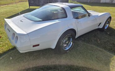 Chevrolet-Corvette-1980-White-Saddle-98114-10