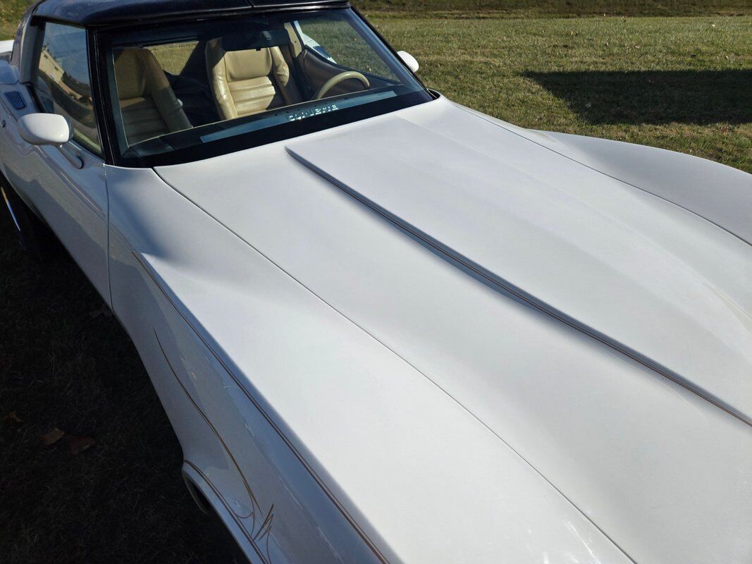 Chevrolet-Corvette-1980-White-Saddle-98114-13