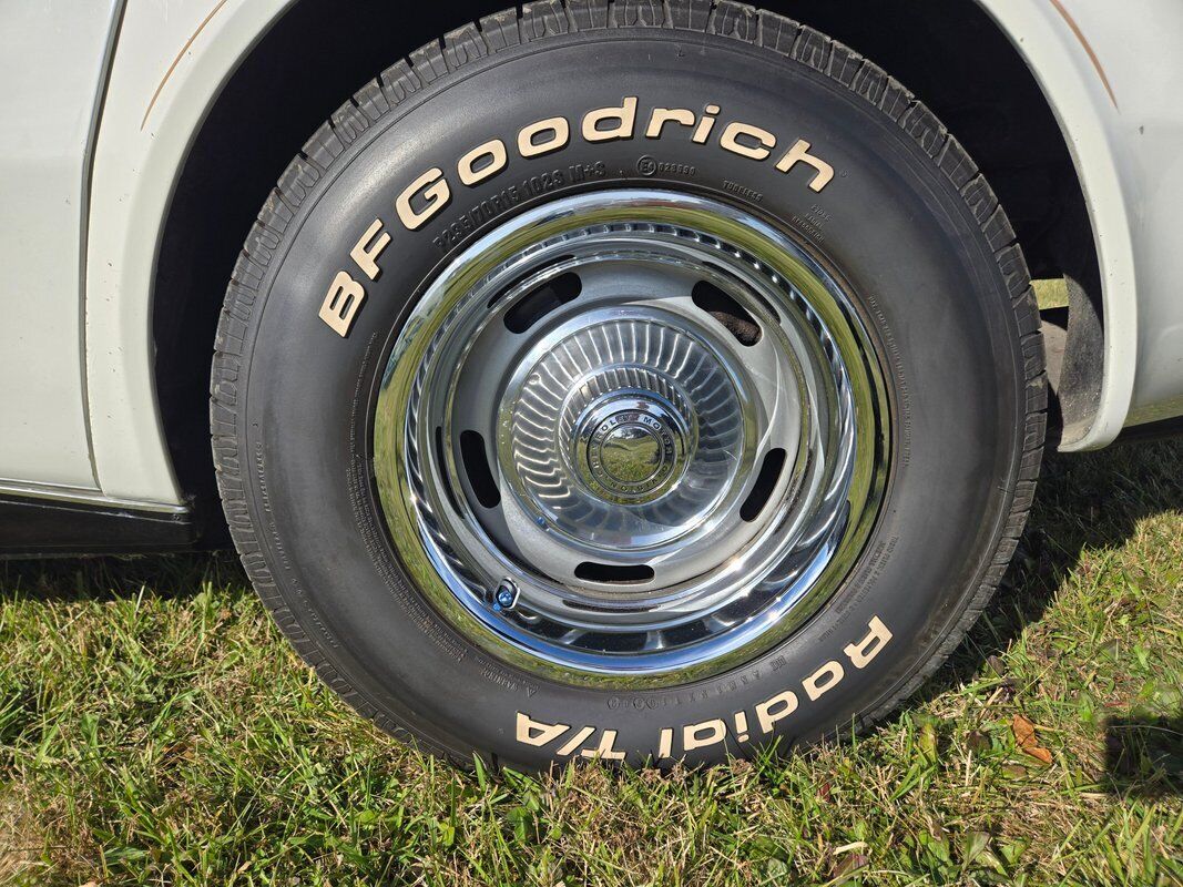 Chevrolet-Corvette-1980-White-Saddle-98114-19