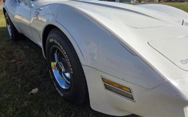 Chevrolet-Corvette-1980-White-Saddle-98114-3