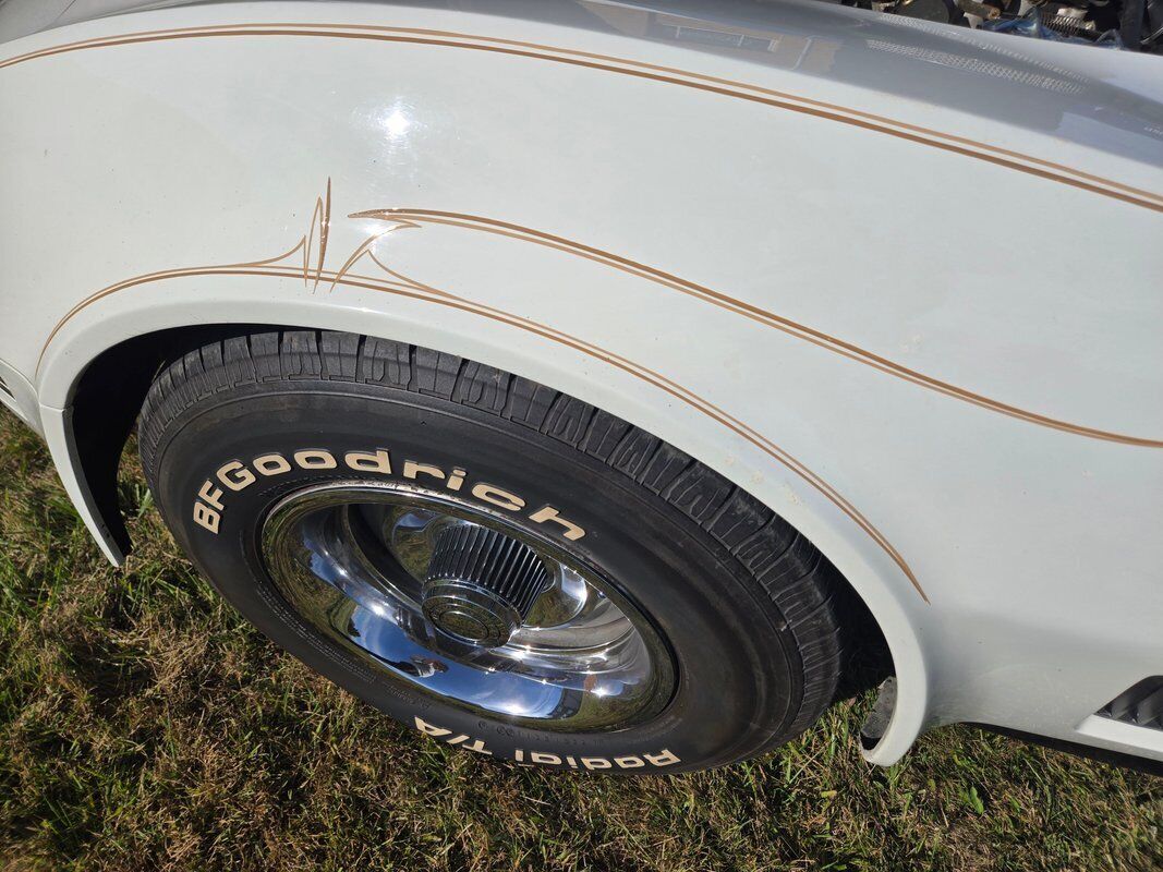 Chevrolet-Corvette-1980-White-Saddle-98114-39