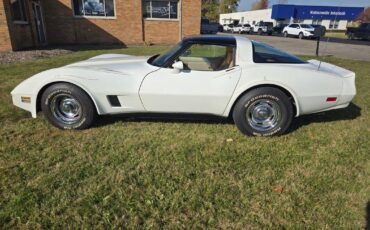 Chevrolet-Corvette-1980-White-Saddle-98114-6