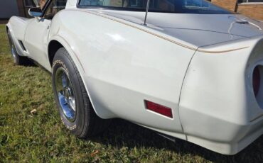 Chevrolet-Corvette-1980-White-Saddle-98114-8