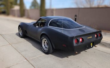 Chevrolet-Corvette-1980-black-159635-4