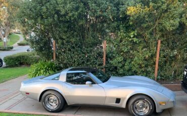 Chevrolet-Corvette-1980-silver-28968-4