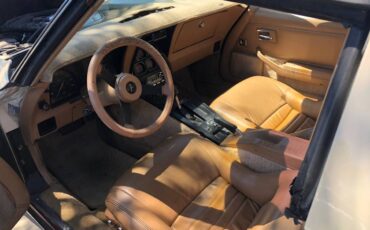 Chevrolet-Corvette-1981-144805-4